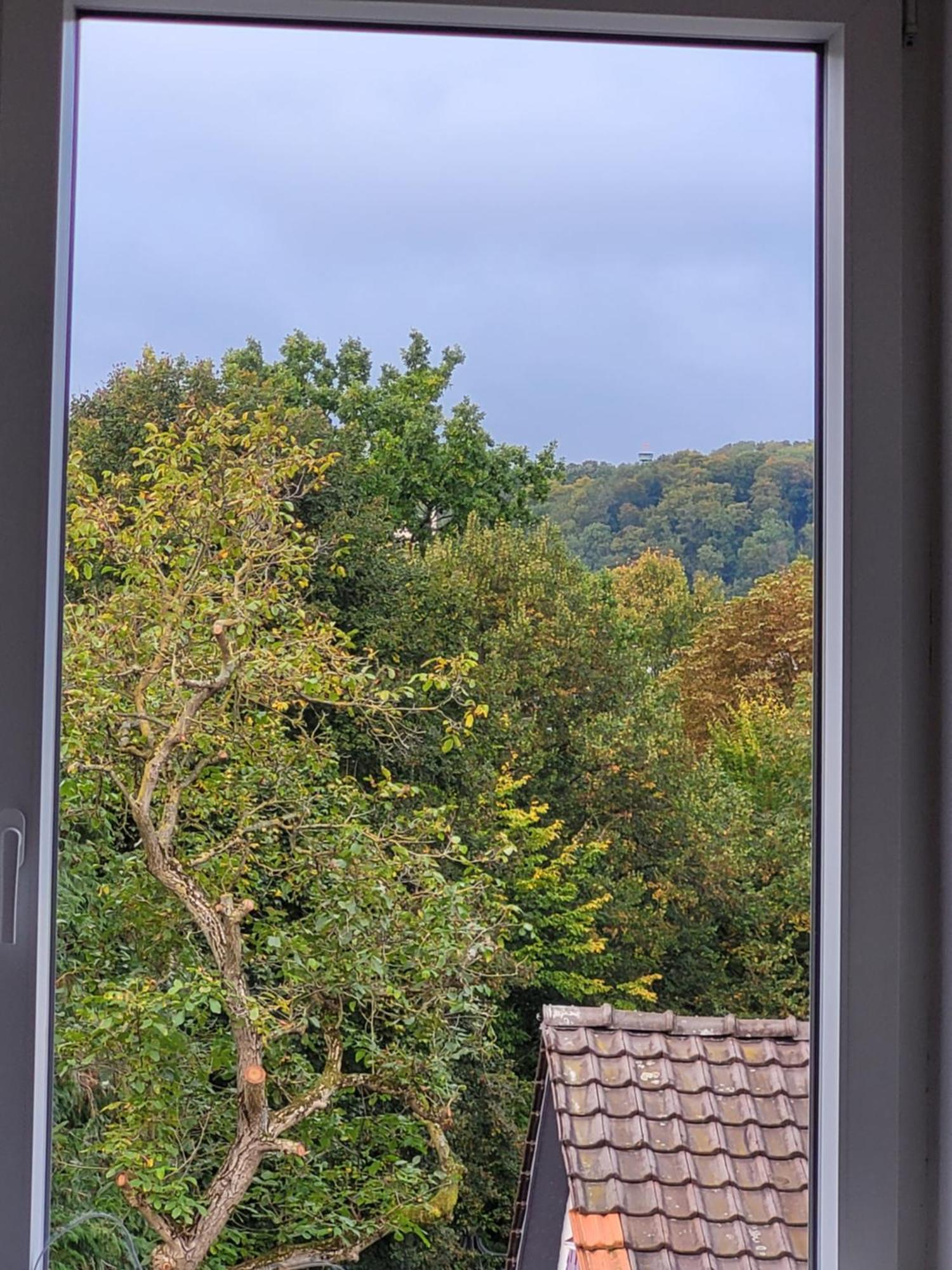 Stay Apartment Bergblick 4 Personen Parkplatz Zentral Bad Pyrmont Eksteriør bilde
